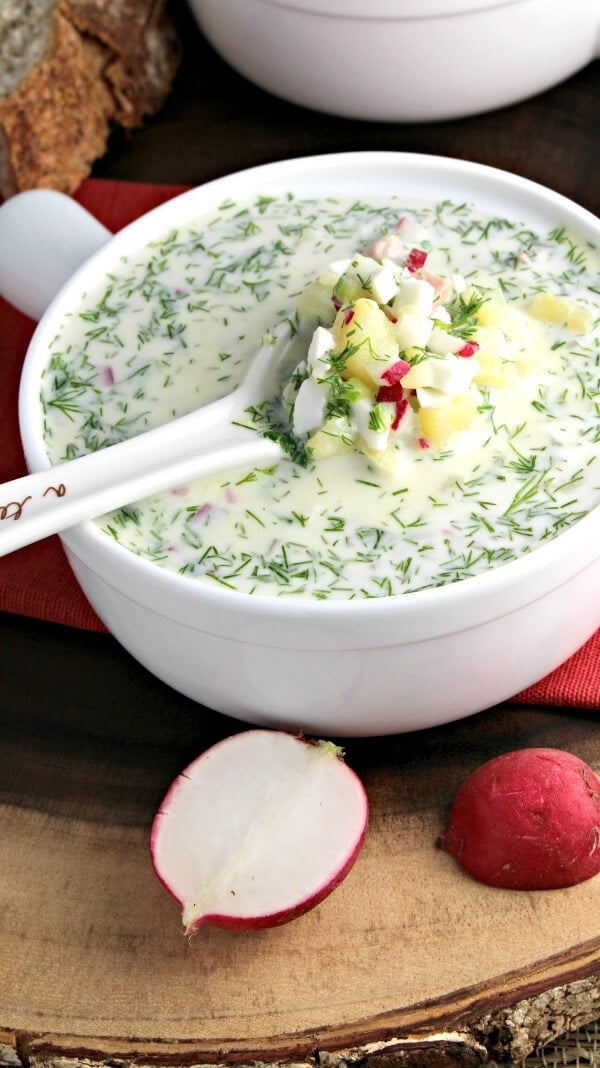 Cold Summer Soup Russian Okroshka