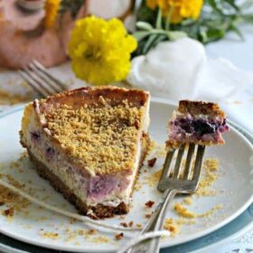 Meyer Lemon Blueberry Cheesecake