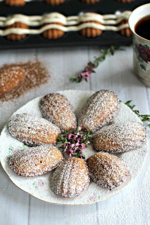 Pumpkin Madeleines 