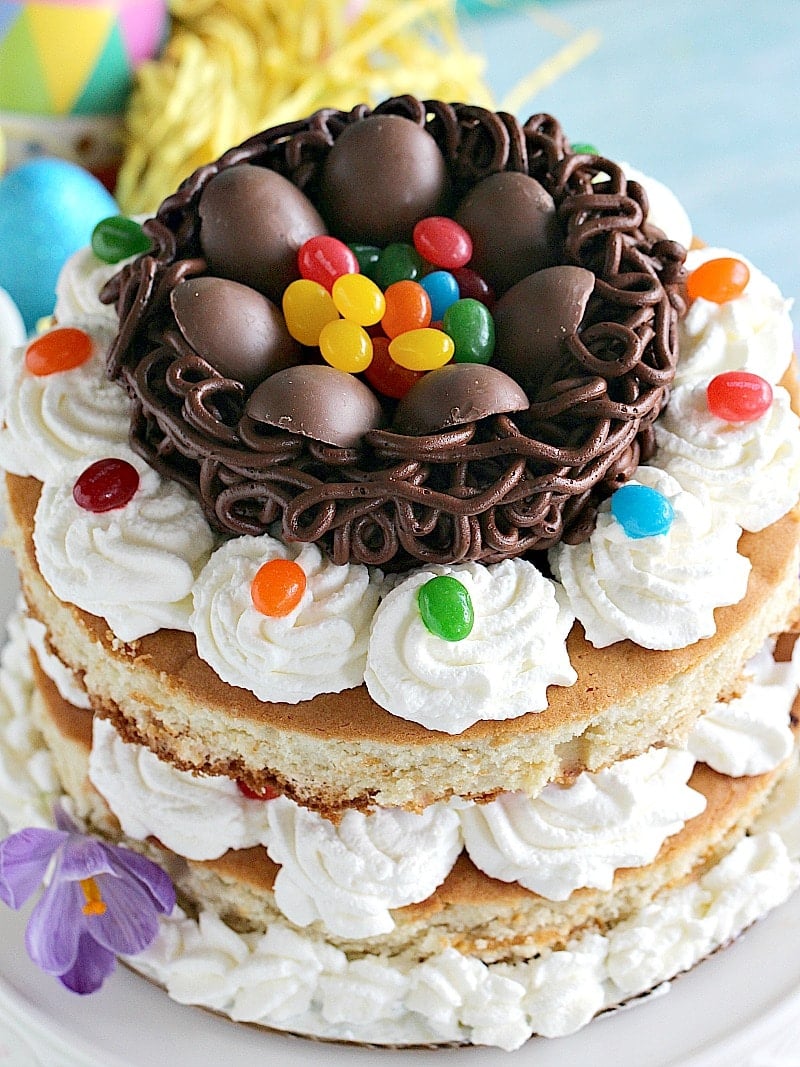 Easter Nest Cake - Sweet and Savory Meals