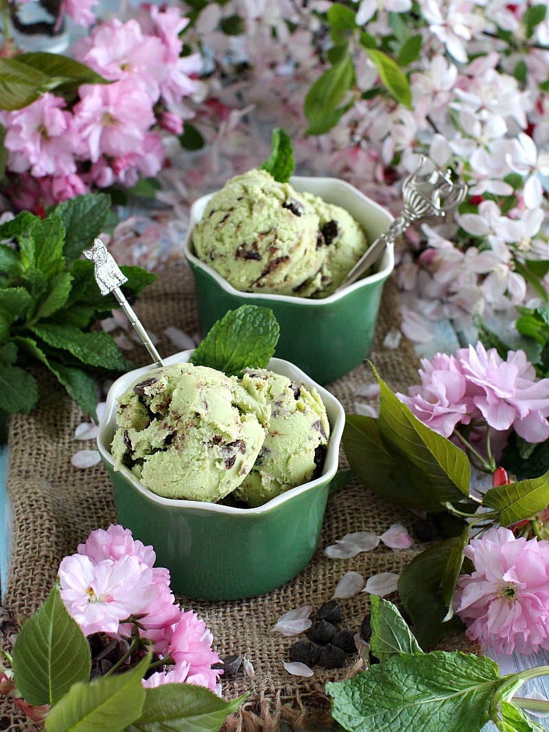 Vegan Chocolate Avocado Ice Cream