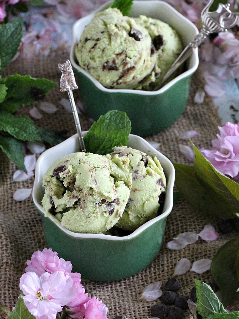 Chocolate Chip Avocado Ice Cream