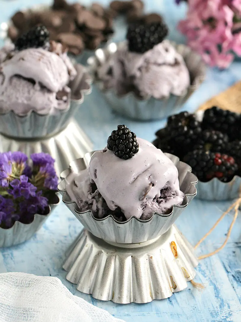 Best Blackberry Ice Cream