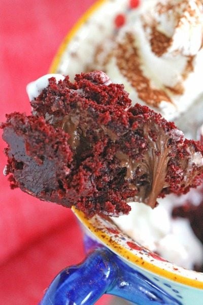 5 minutes, few ingredients and 1 bowl is what you need to make this Nutella Stuffed Red Velvet Mug Cake that has been perfectly portioned for two!