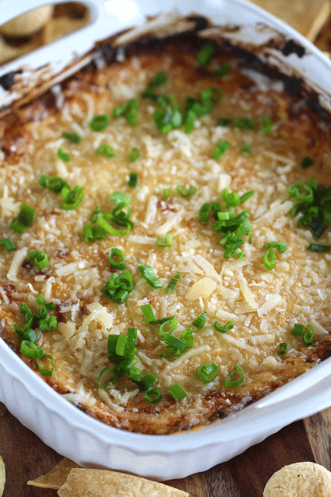 Chicken Caesar Dip