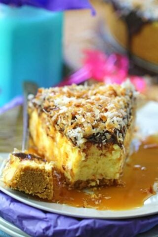 The best and creamiest No Bake Coconut Cheesecake is indulgent and delicious. Topped with chocolate ganache, lots of toasted coconut and finished with caramel sauce.