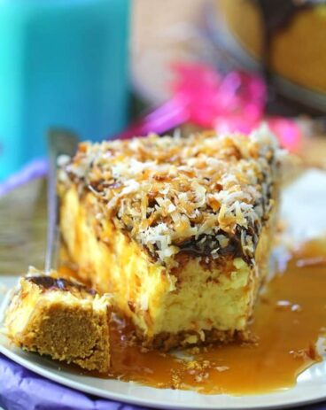 Samoa Cheesecake - No Bake