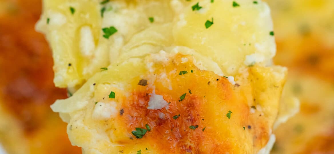 Potato Gratin