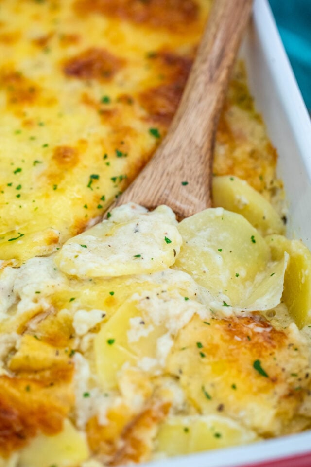 Creamy Gratin Potatoes with Bechamel Sauce Recipe [VIDEO] - Sweet and ...