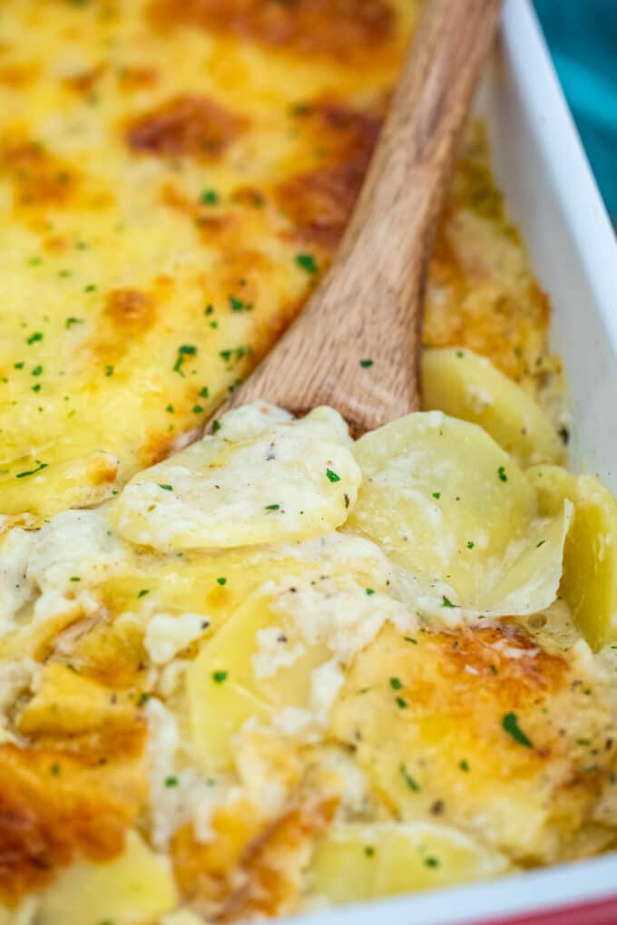 Creamy Gratin Potatoes with Bechamel Sauce Recipe [VIDEO] - Sweet and ...