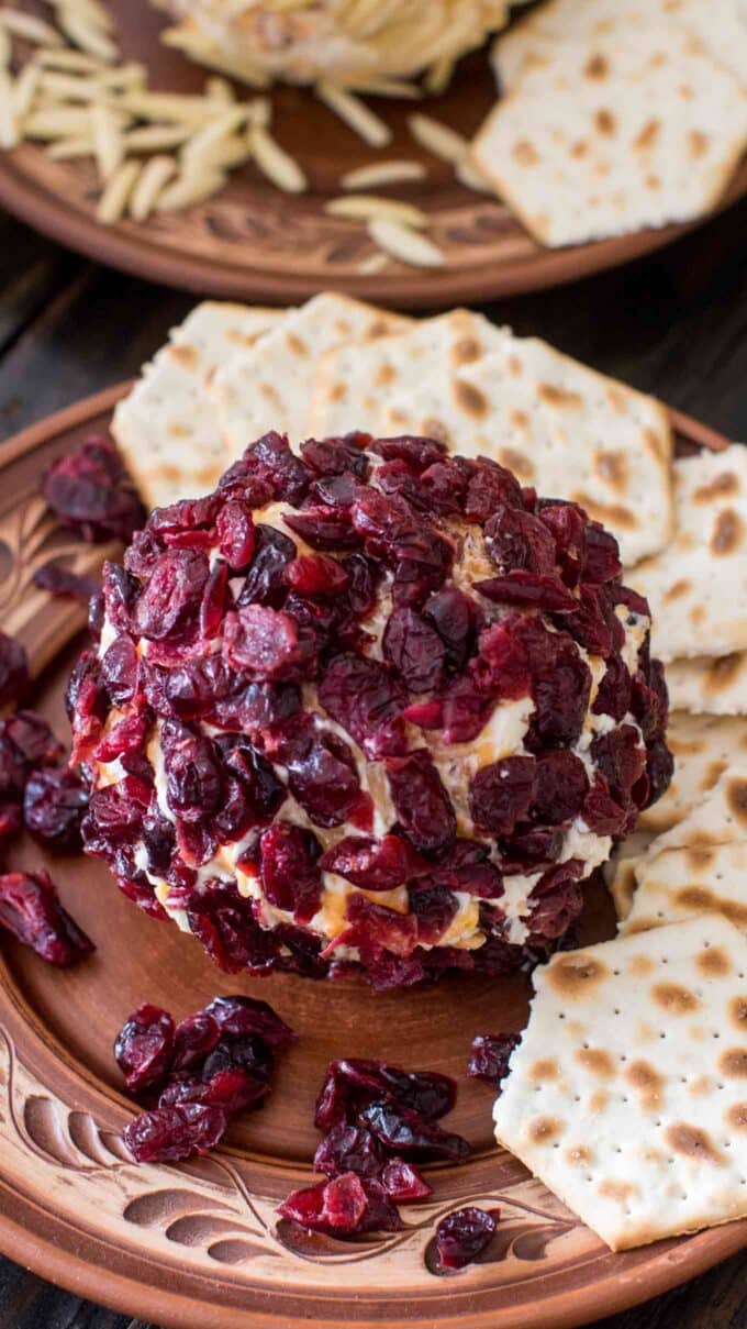 Cheese Ball made with creamy goat cheese, crispy bacon crumbs, fresh green onions, sharp cheddar cheese and covered in sweet dried cranberries.