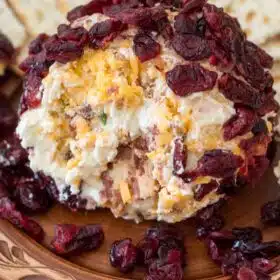 Easy Cheese Ball made with creamy goat cheese, crispy bacon crumbs, fresh green onions, sharp cheddar cheese and covered in sweet dried cranberries.