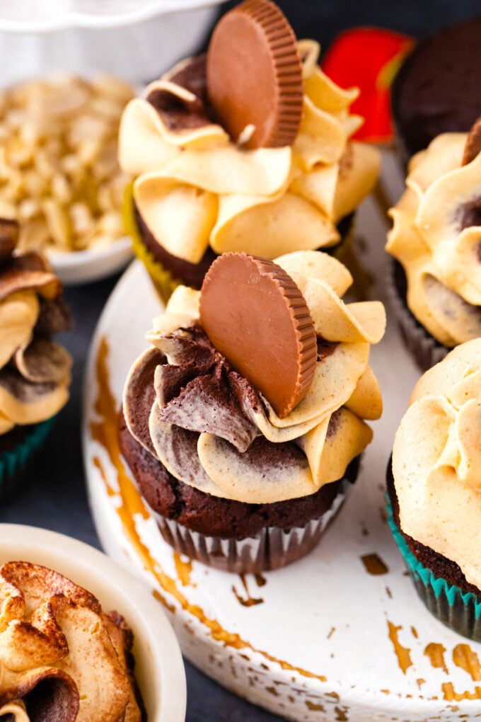 Overhead shot of dark chocolate peanut butter cupcakes.