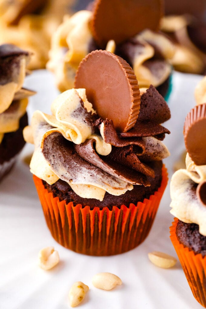 Decadent dark chocolate peanut butter cupcakes.