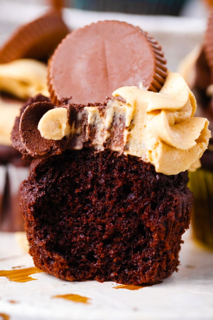 Dark chocolate peanut butter cupcake revealing tender interior.