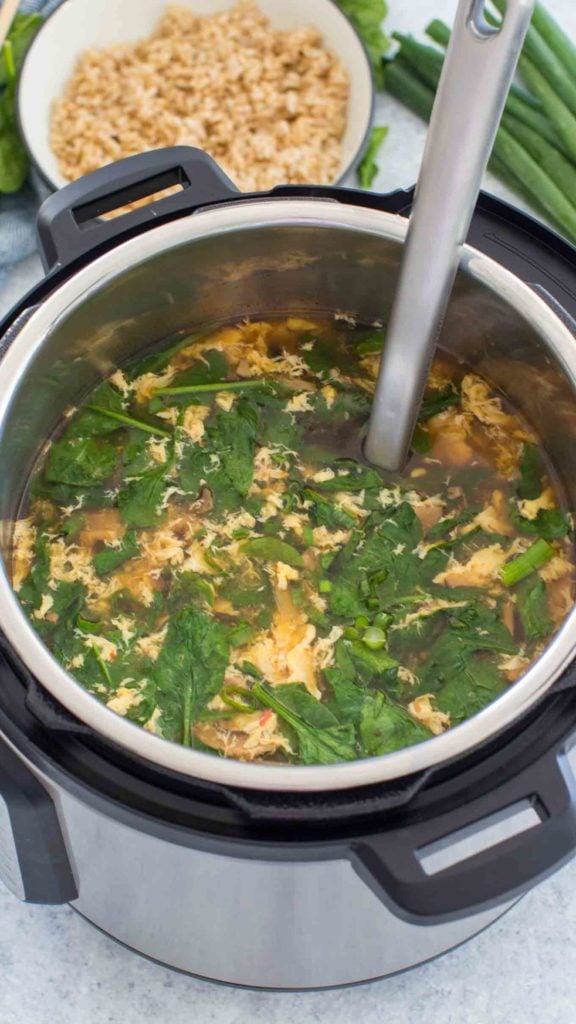 Instant pot hot online pot recipe