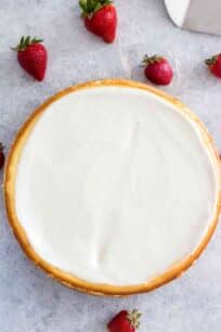 Cheesecake Factory Original Cheesecake Copycat Recipe