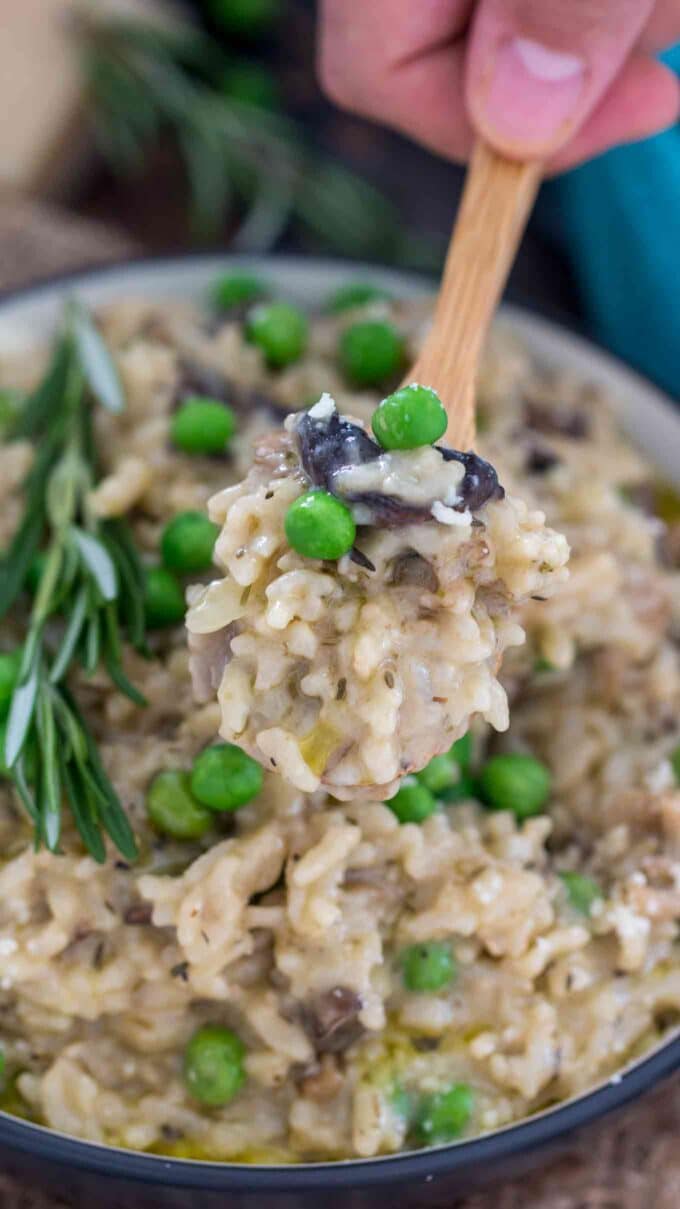 spoonful of mushroom risotto