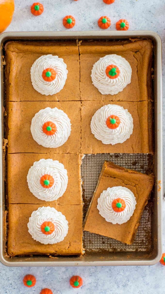Pumpkin cheesecake bars in a baking pan
