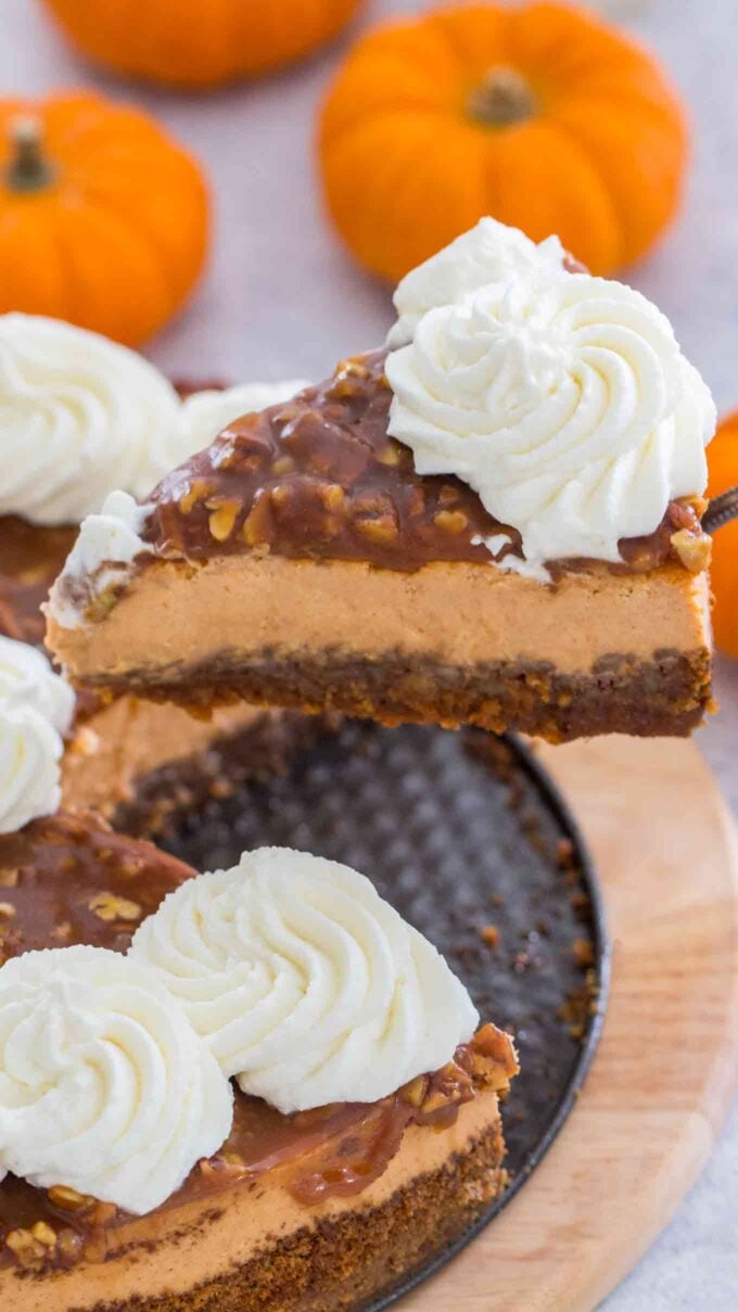 Pumpkin Pecan Pie Cheesecake Recipe VIDEO - Sweet and ...