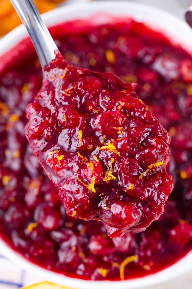 A spoonful of homemade Instant Pot cranberry sauce.