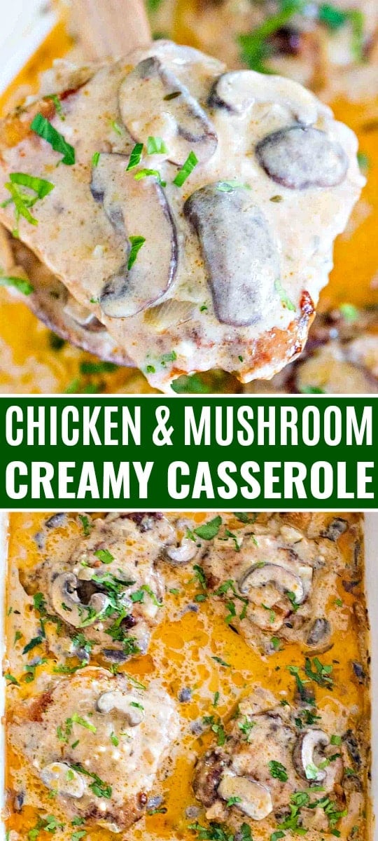 Creamy chicken and mushroom casserole.