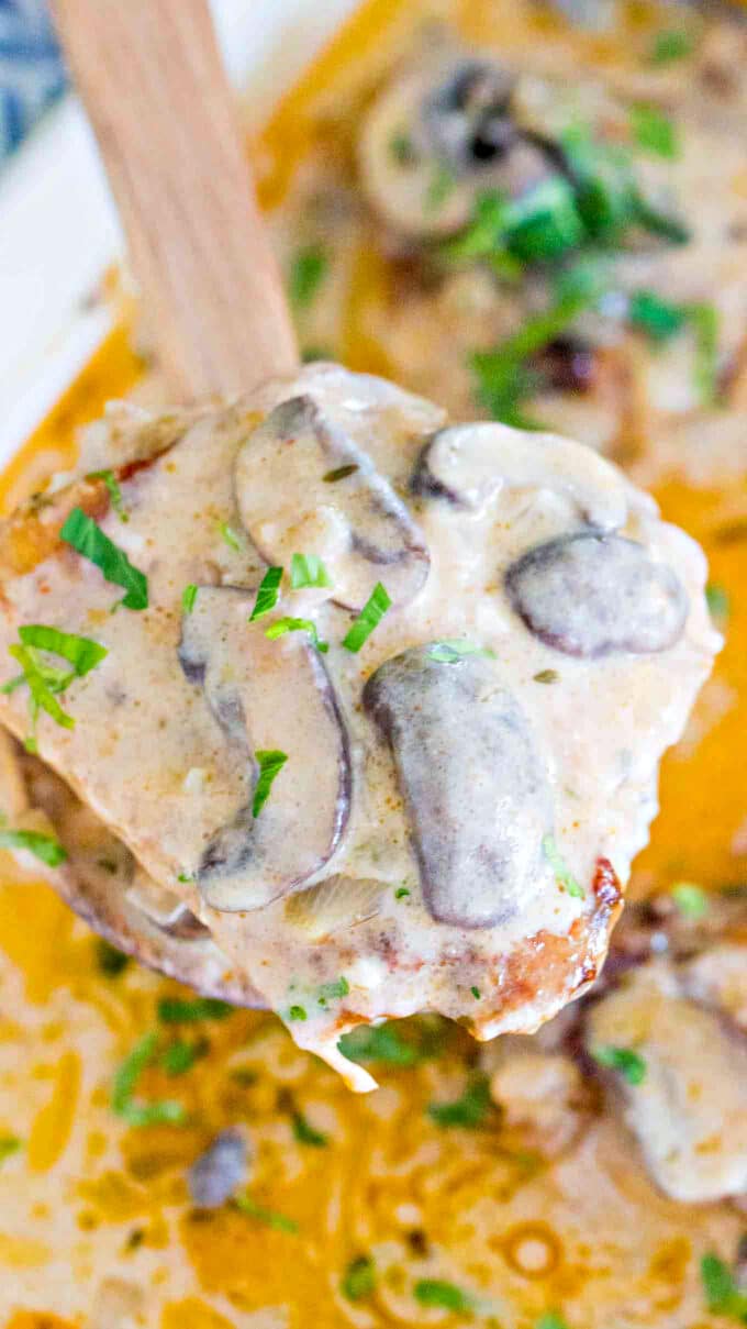 Chicken and mushroom casserole in a creamy white sauce on a wooden spoon