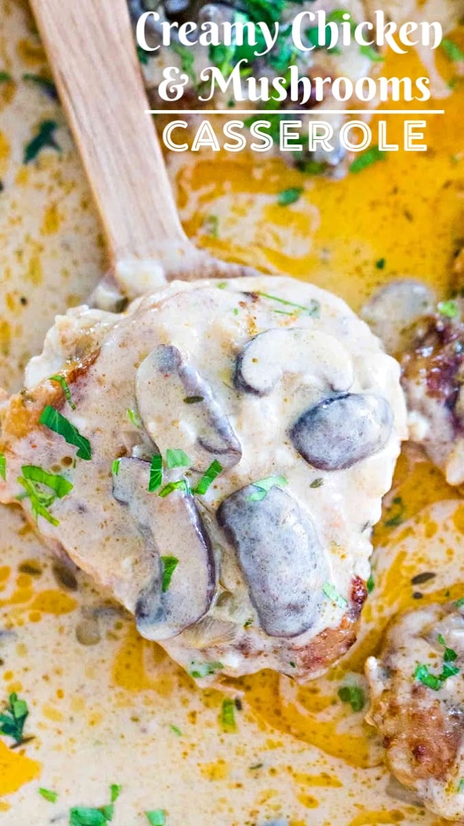 Chicken casserole in a white sauce with mushroom on a wooden spoon