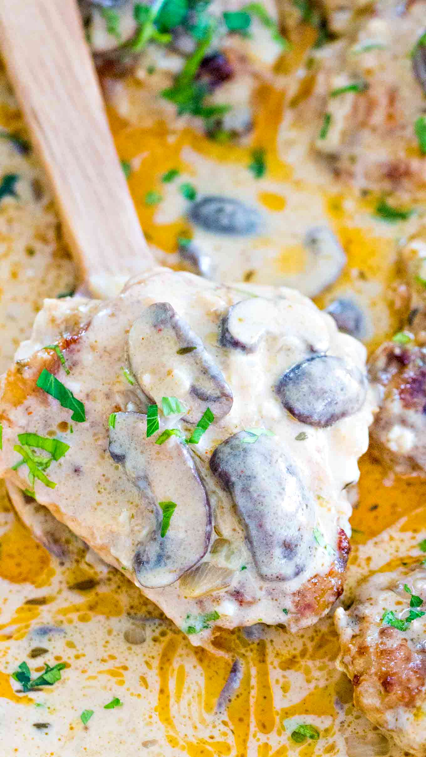 Creamy Chicken and Mushroom Casserole [Video] - Sweet and Savory Meals