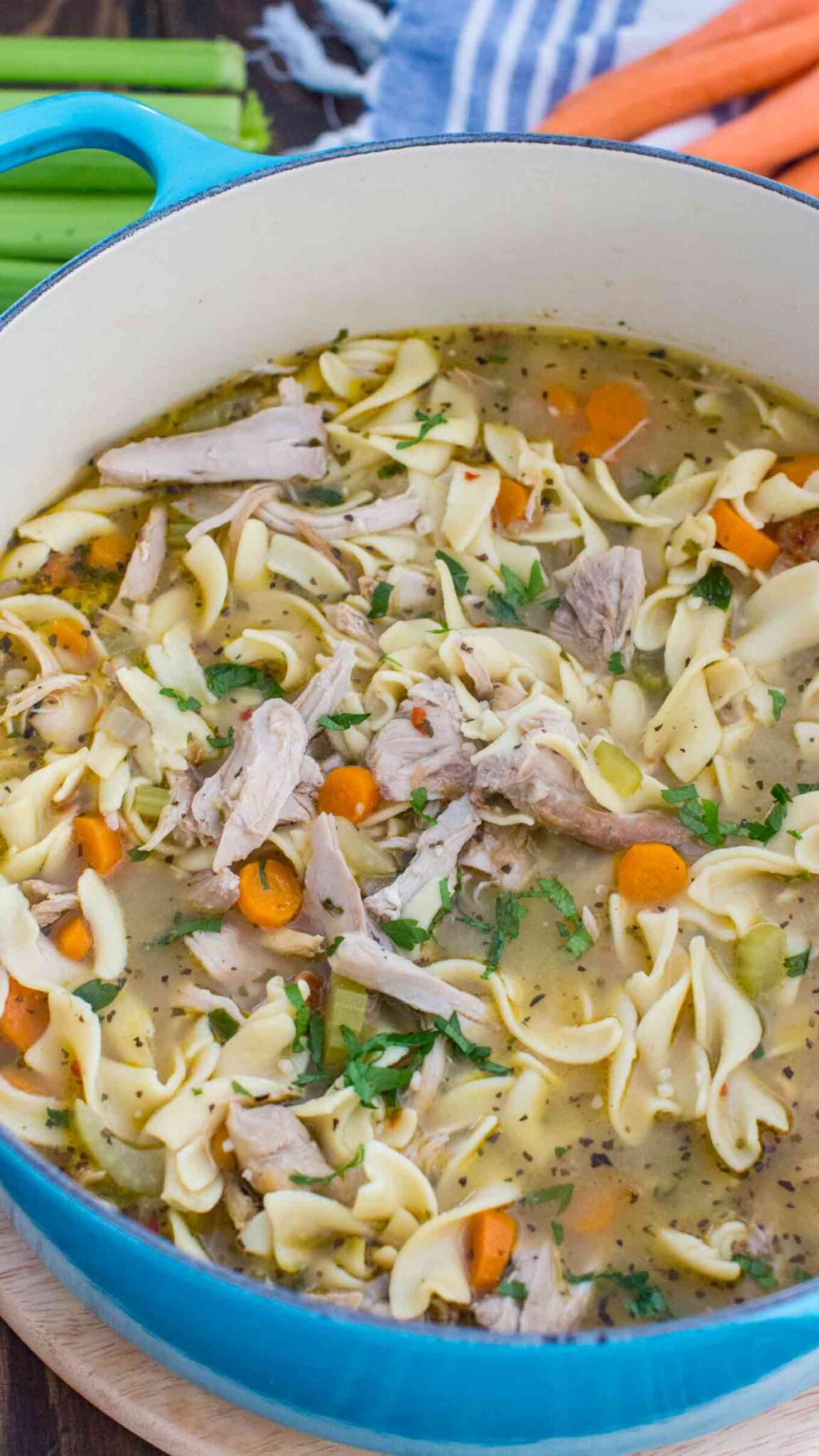 Homemade Chicken Noodle Soup [VIDEO] - Sweet and Savory Meals