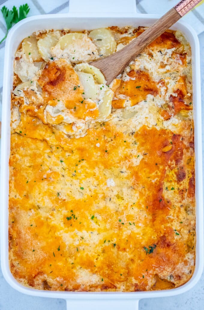 Homemade scalloped potatoes with cream in a white casserole dish