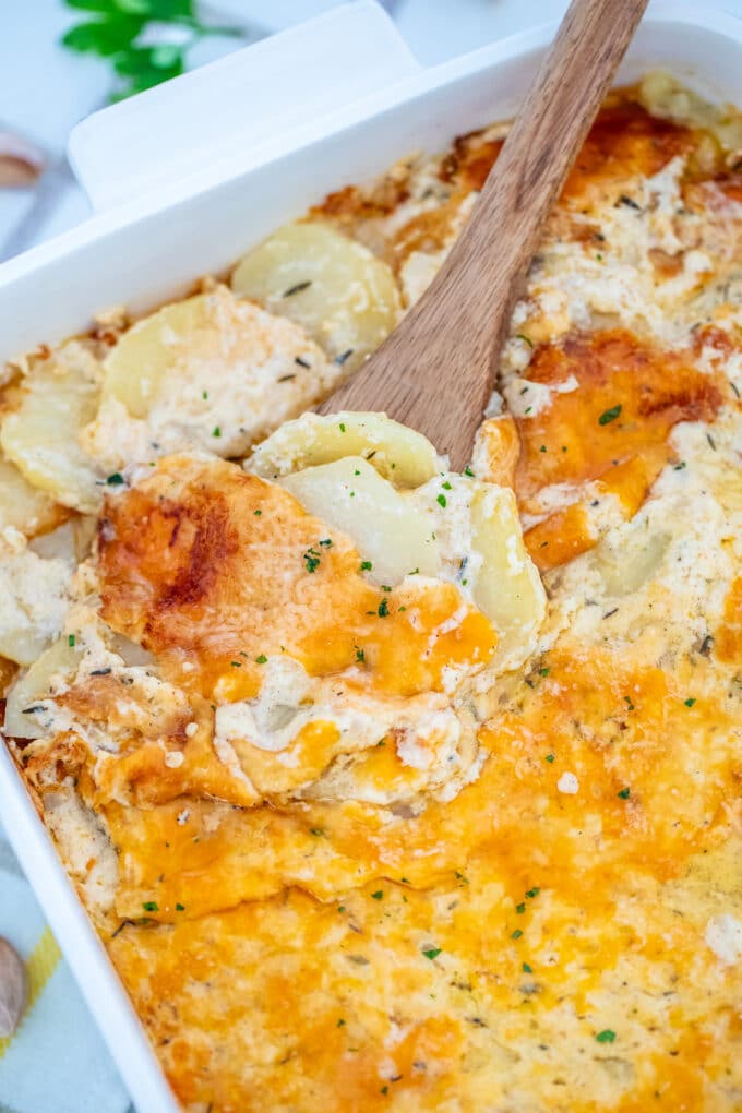 Creamy scalloped potatoes on a casserole dish next to a wooden spoon