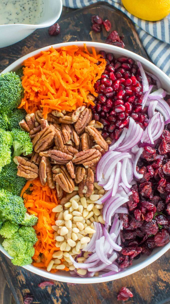 Broccoli Salad ingredients in a large bowl: carrots, broccoli, pecans, pine nuts, red onion, pomegranate arils, and dried cranberries