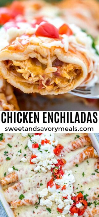 Chicken Enchiladas [Video] - Sweet and Savory Meals