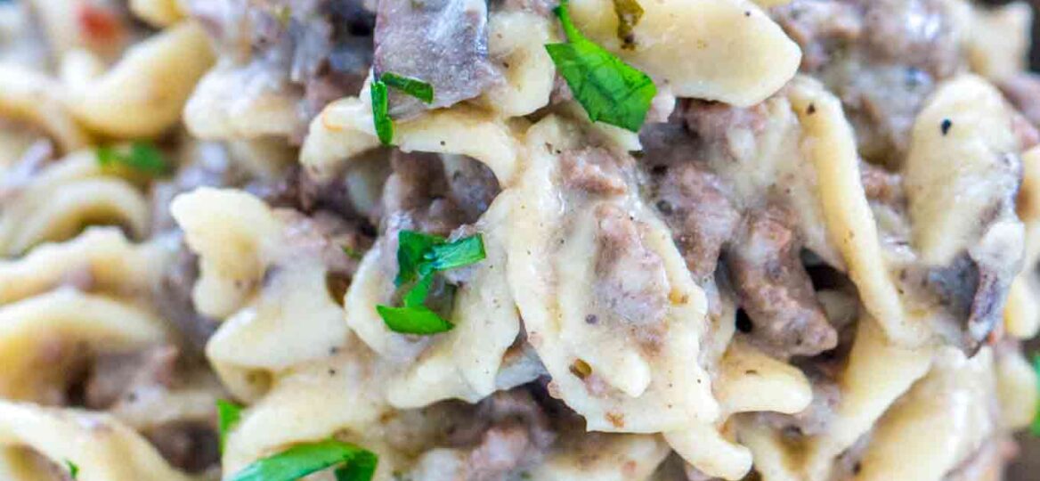 Instant Pot Beef Stroganoff