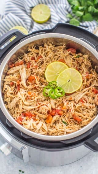 Instant Pot Salsa Chicken