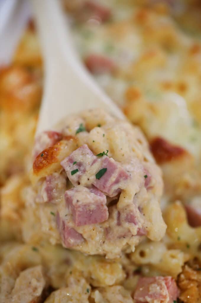 Chicken, ham, and cheese pasta casserole on a wooden spoon