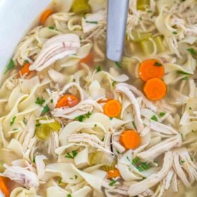 Crockpot Chicken Noodle Soup