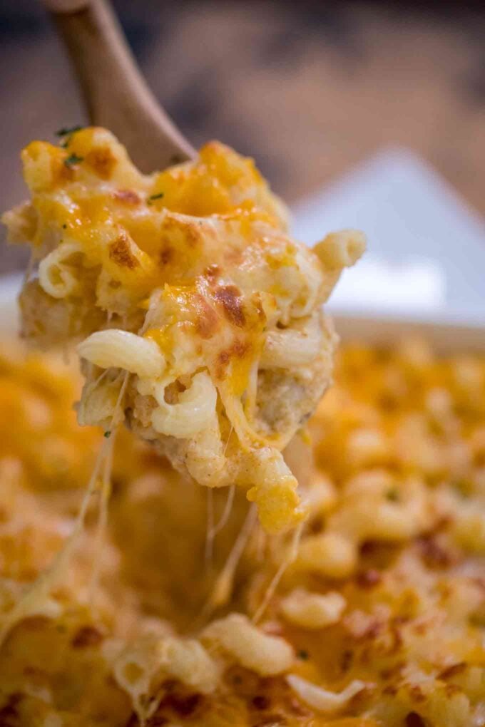 A spoonful of creamy macaroni and cheese.