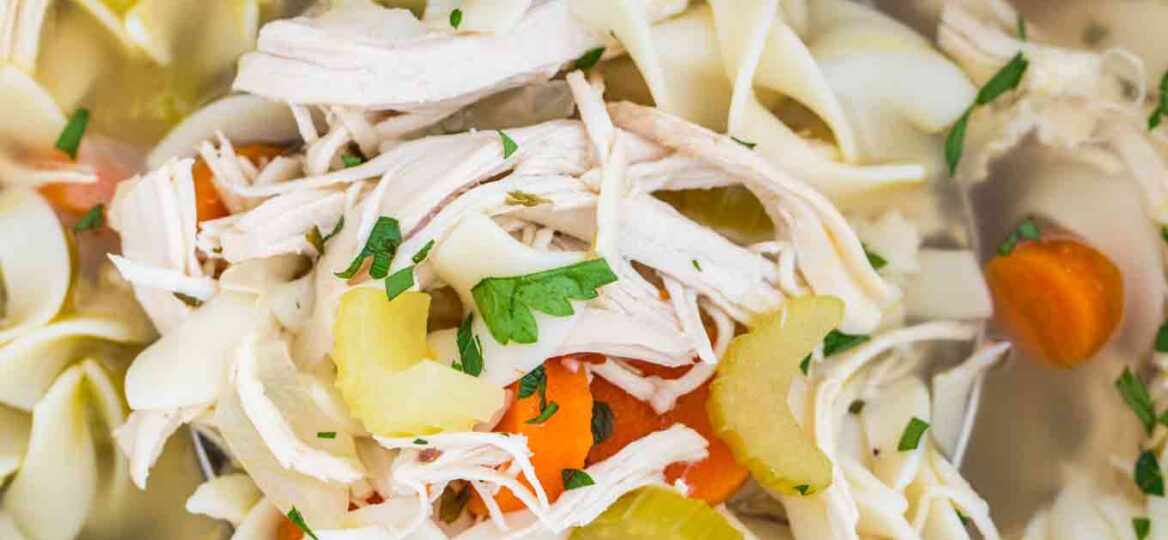 Instant Pot Chicken Noodle Soup from Scratch