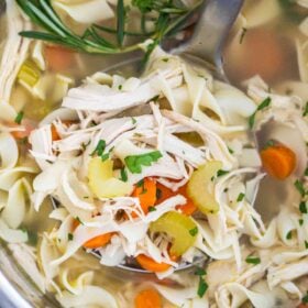 Instant Pot Chicken Noodle Soup from Scratch