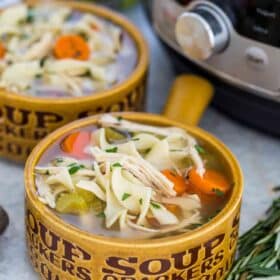 Homemade Instant Pot Chicken Noodle Soup Bowl