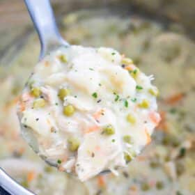 Instant Pot Chicken and Dumplings