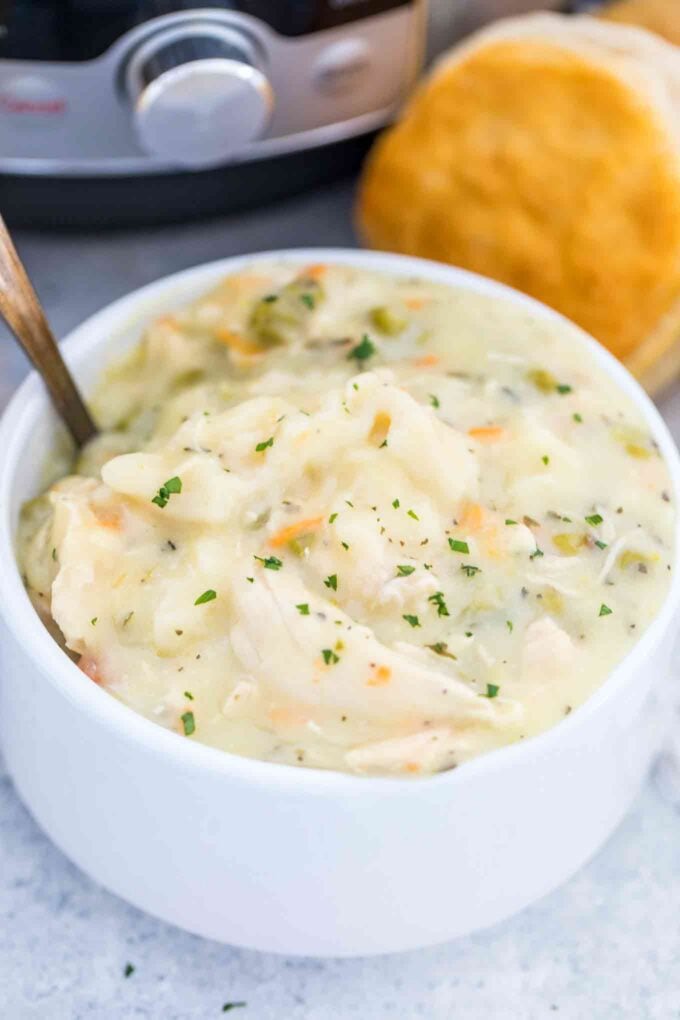a bowl of chicken and dumplings