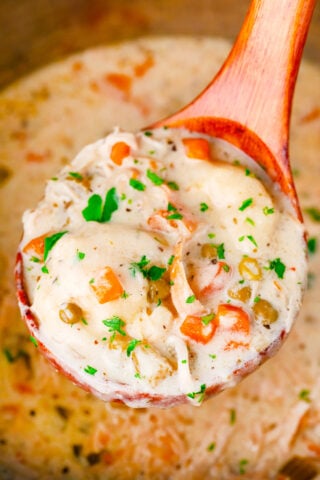 A ladle of hearty Instant Pot chicken and dumplings.