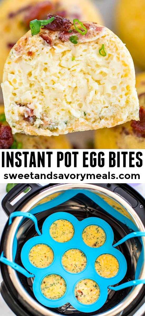 Easy Egg Bites in the Instant Pot - Cooking With Carlee