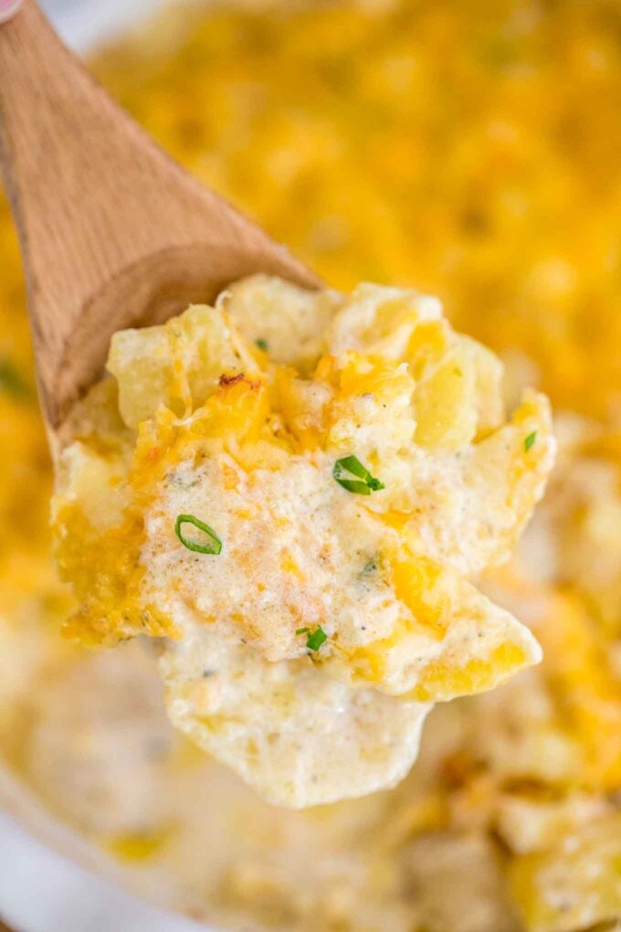 Image of creamy scalloped potatoes on a wooden spoon.