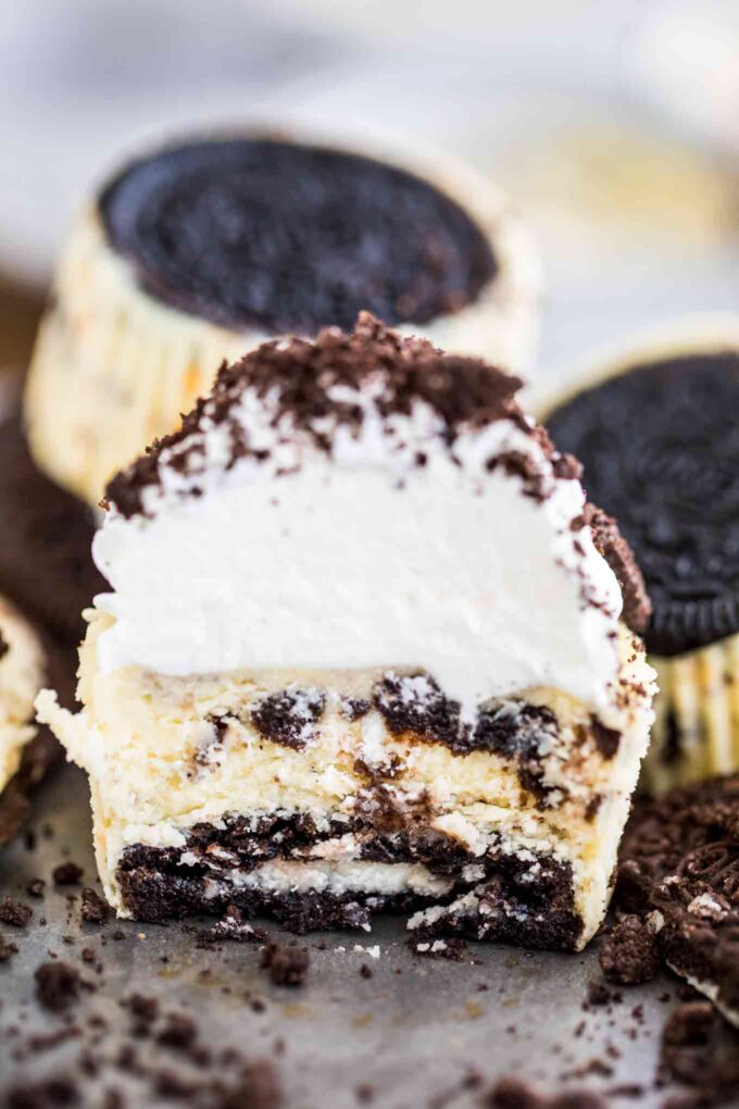 Best Mini Oreo Cheesecakes