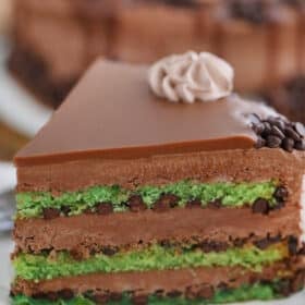 Mint Chocolate Chip Cake with Chocolate Frosting