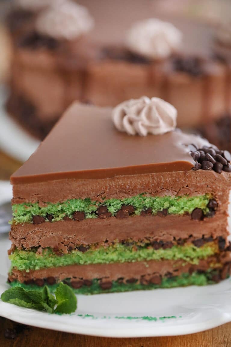 Mint Chocolate Chip Cake with Chocolate Frosting